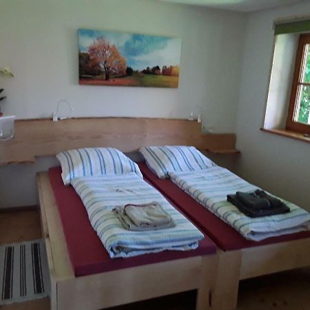 Bodensee Apartment Neukirch Wangener Strasse Екстериор снимка